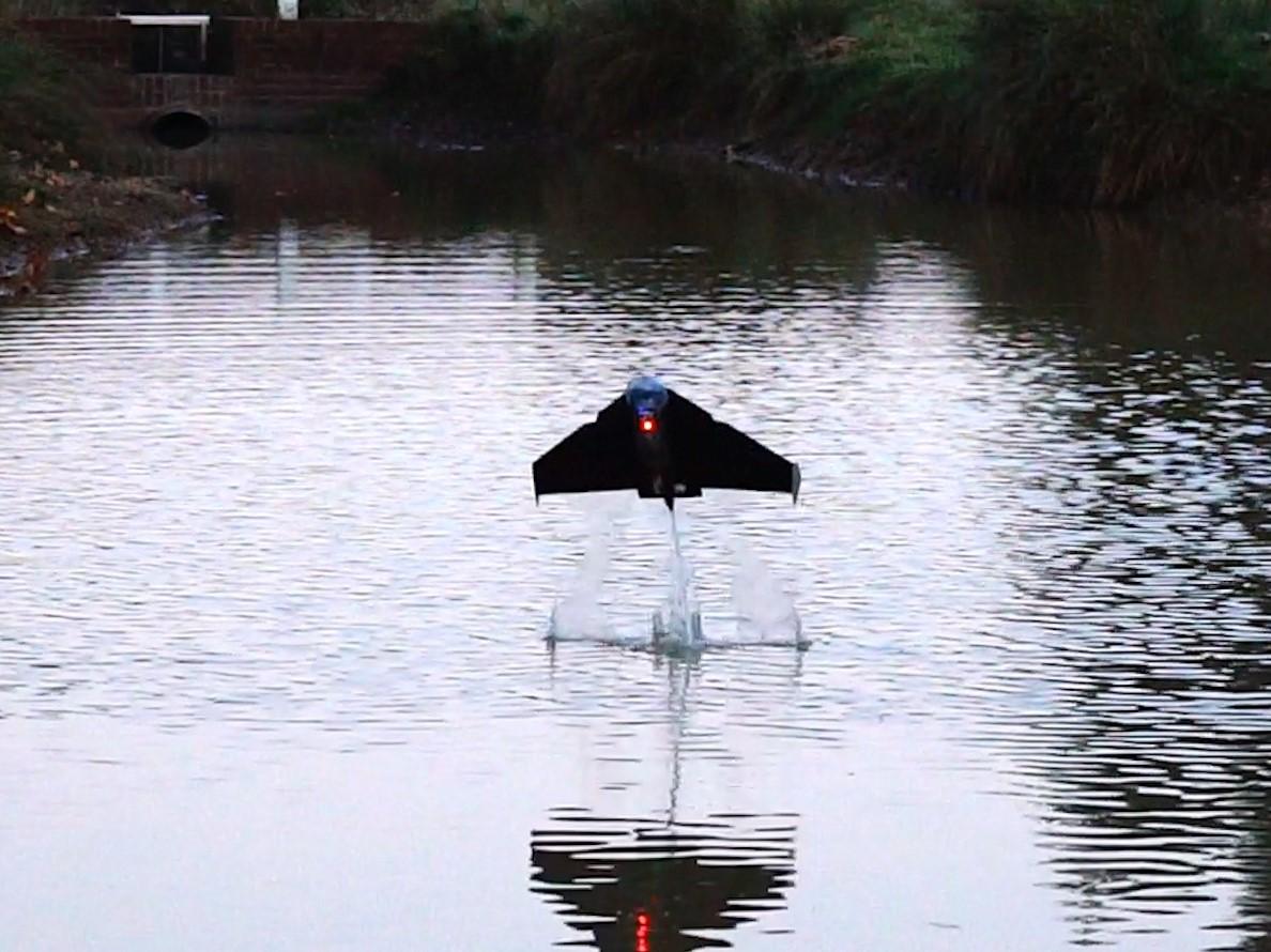 'Flying fish' robot can burst from water and fly through the sky