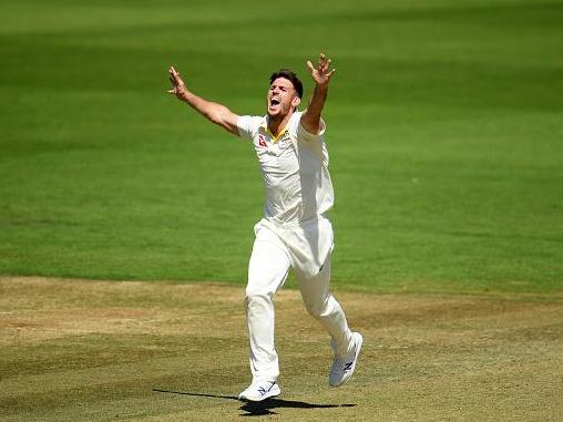 Mitchell Marsh celebrates after taking the wicket of Travis Head