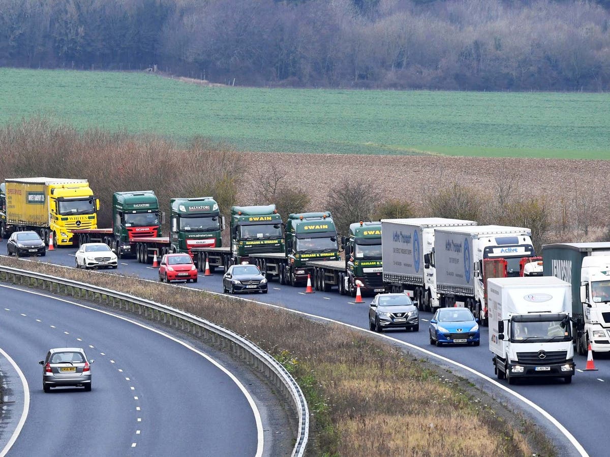 Official no-deal document confirms government planning for delays, disruption and disorder