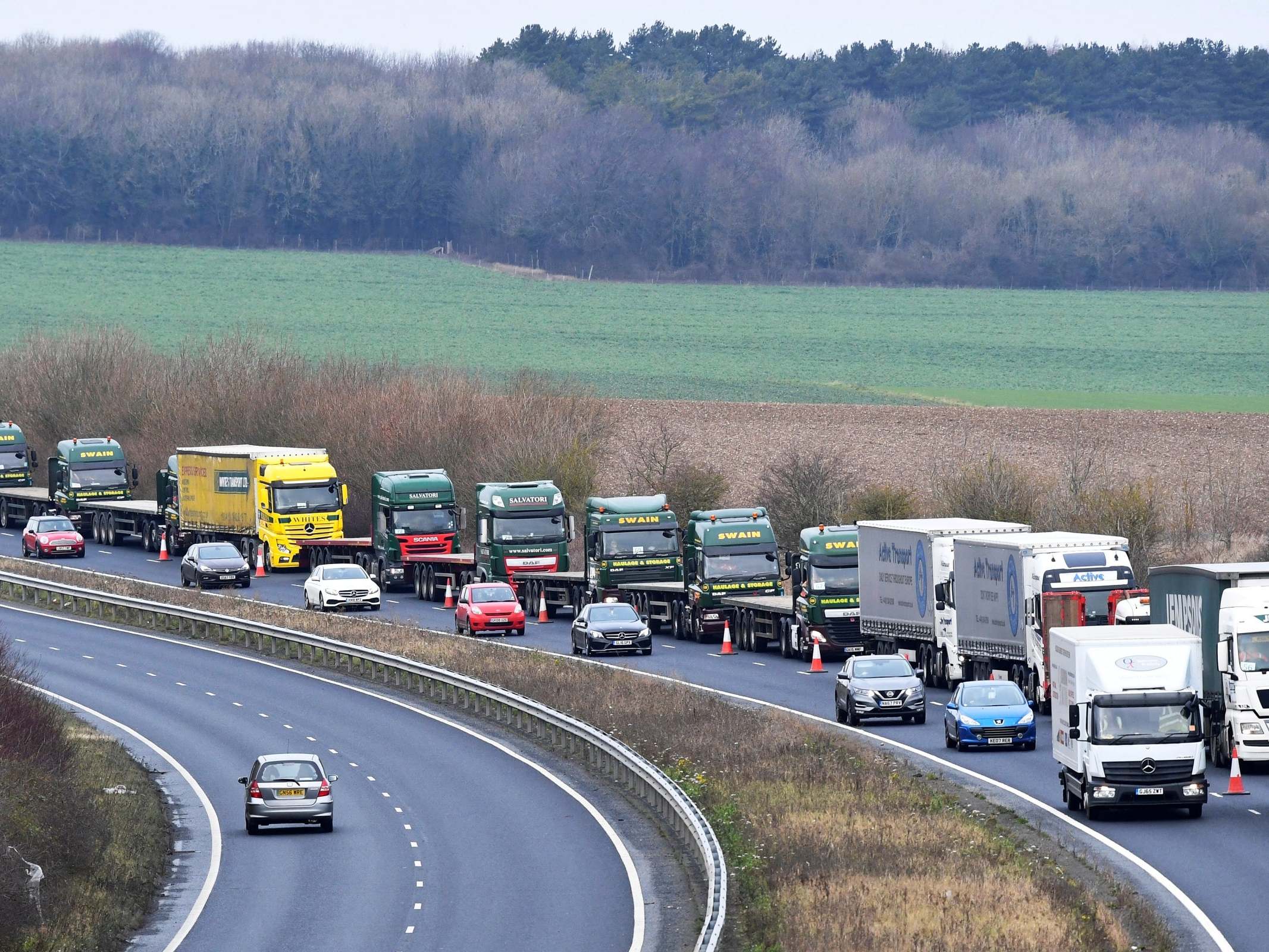 The government has already conducted trials to manage the massive queues expected at ports in a no-deal scenario (Reuters)