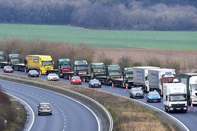 The government has already conducted trials to manage the massive queues expected at ports in a no-deal scenario