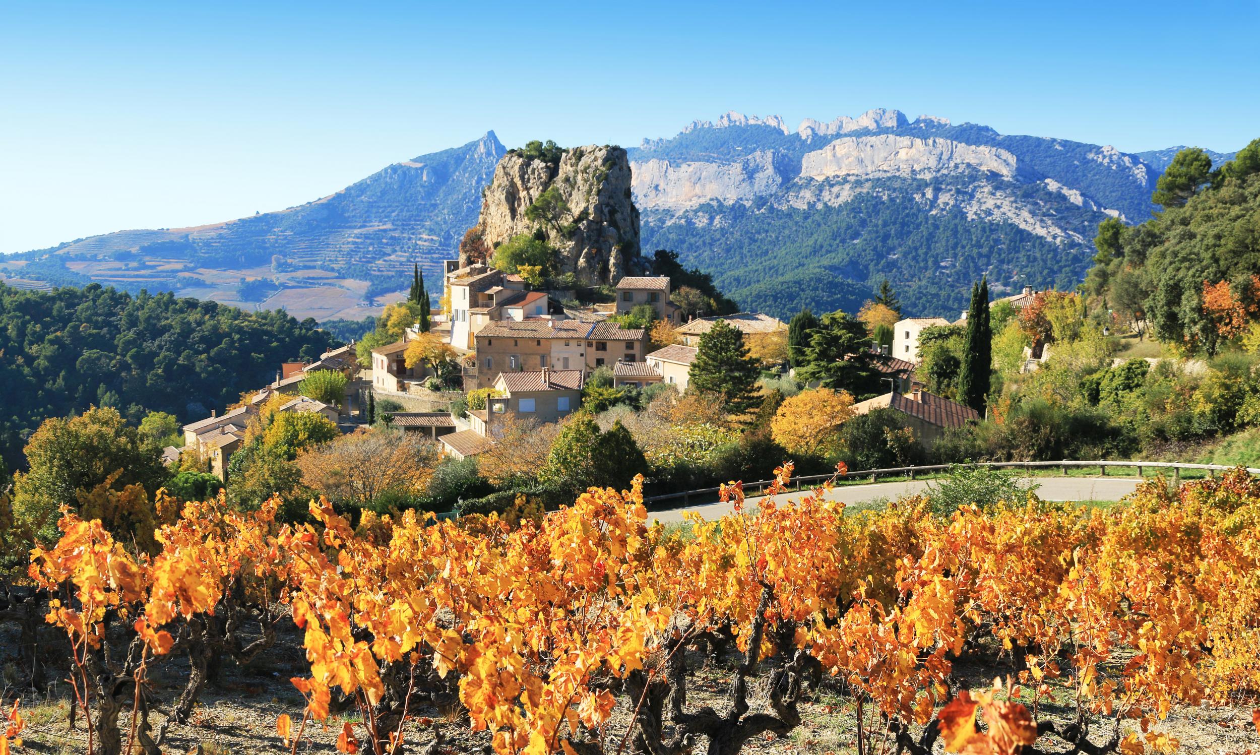 Provence in autumn: the perfect time for truffle hunting