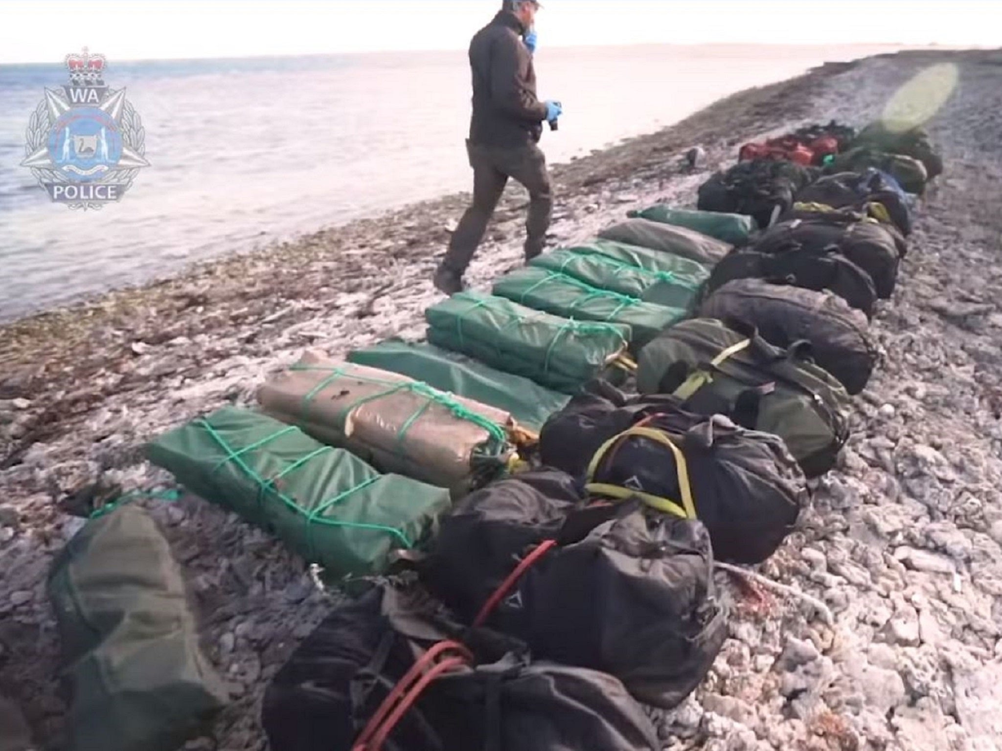 Giant seal thwarts alleged international drug smugglers in $1bn Australian gang bust
