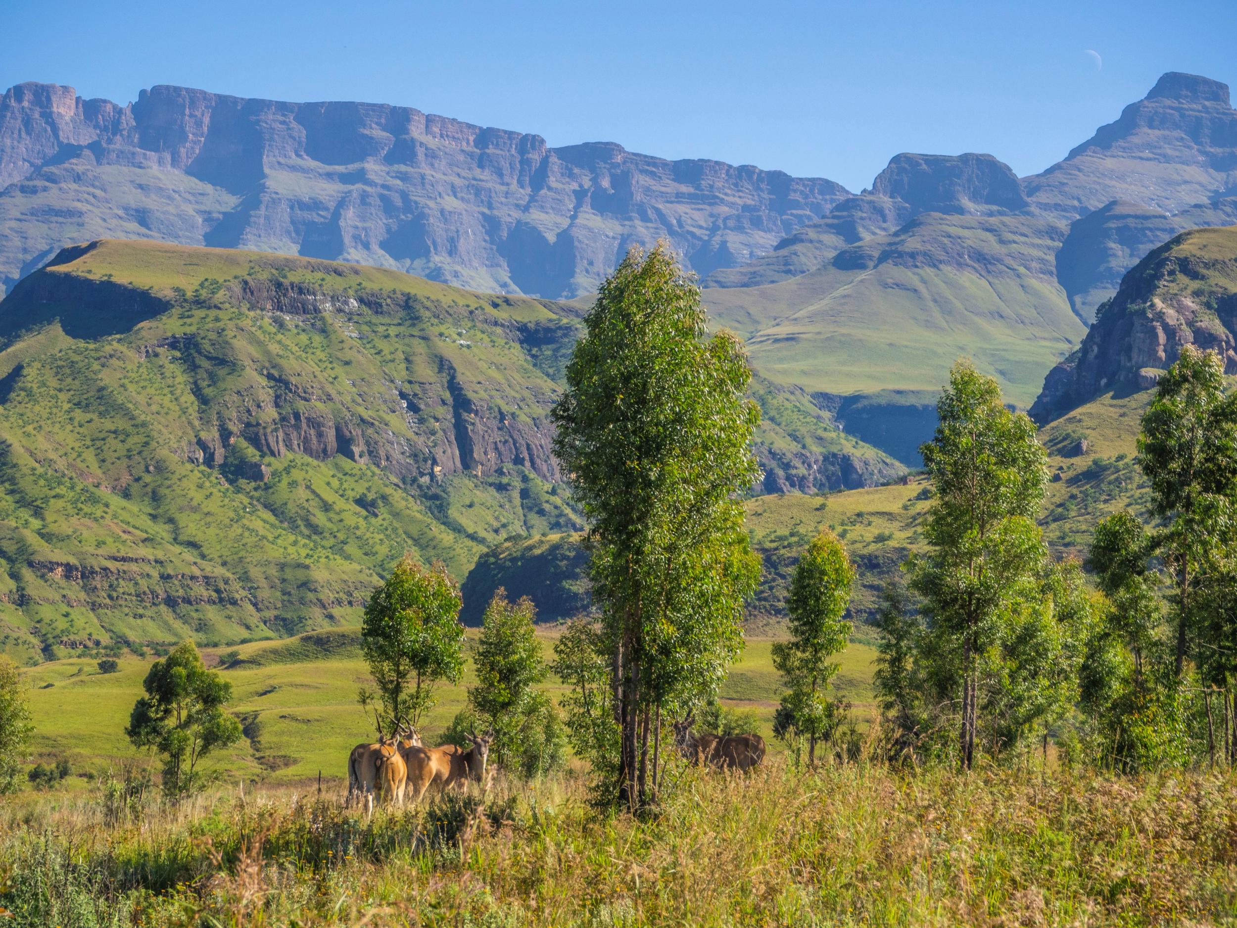 Exploring South Africa's Drakensberg: 'the barrier of spears
