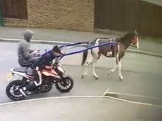 CCTV shows motorbike ‘being towed away by horse and two people’