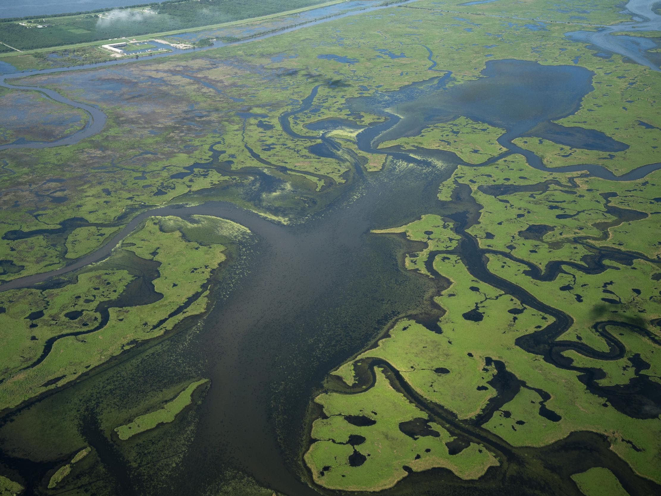 Trump administration to roll back Obama-era rule protecting US wetlands and streams
