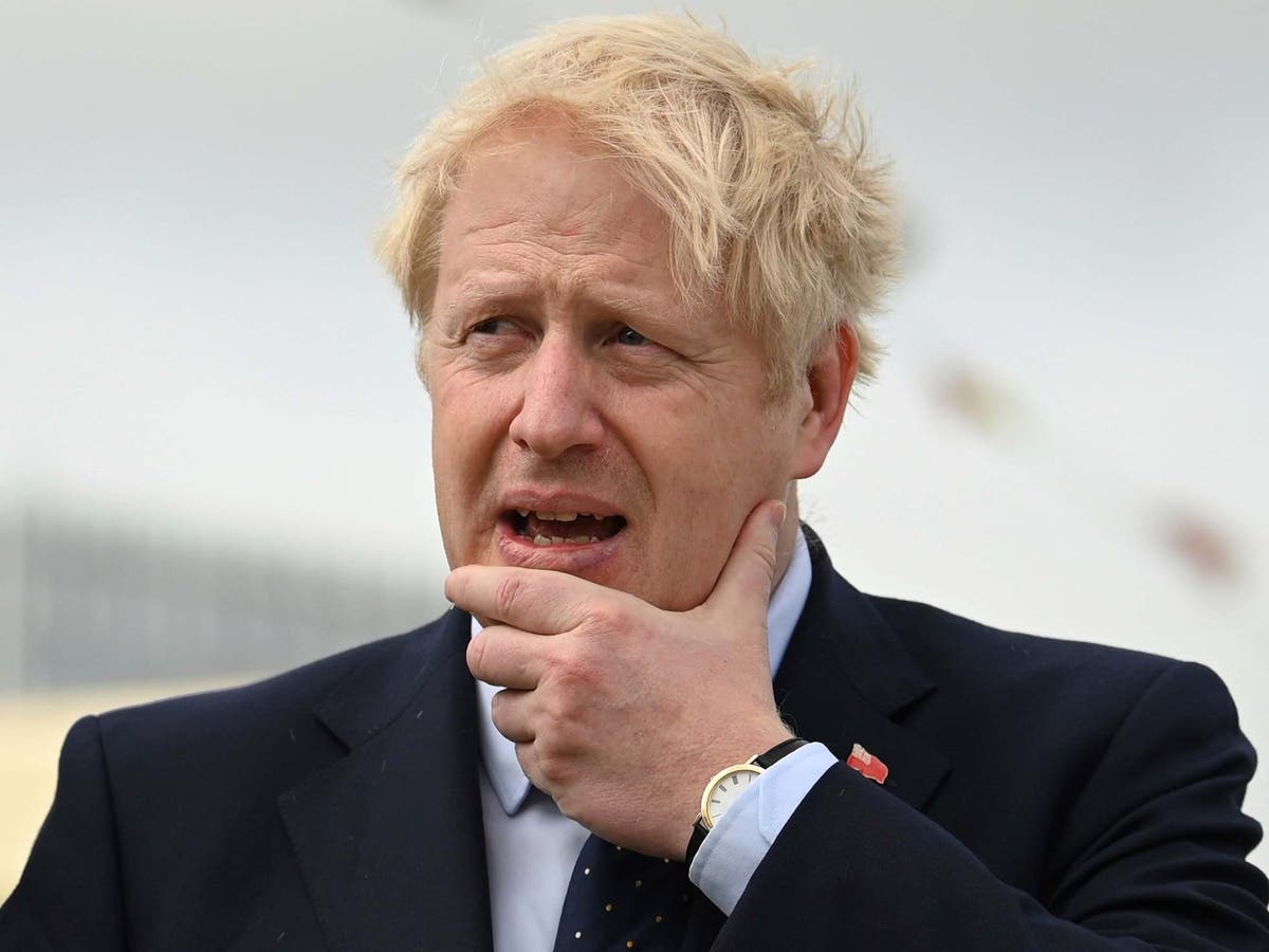 Boris Johnson warned he could &lsquo;accidentally&rsquo; disenfranchise Tory voters with photo ID plan