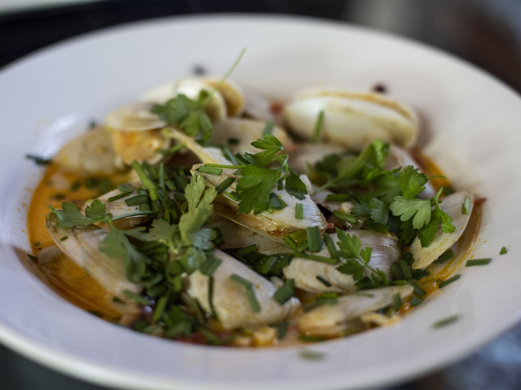 Yellow clam dishes are on display at Nancy Schuch's beachside processing plant