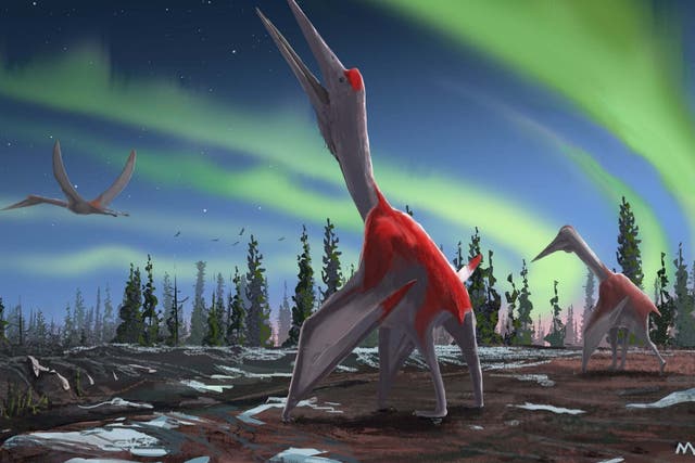 An artist's impression of the Cyrodrakon boreas, a newly discovered species