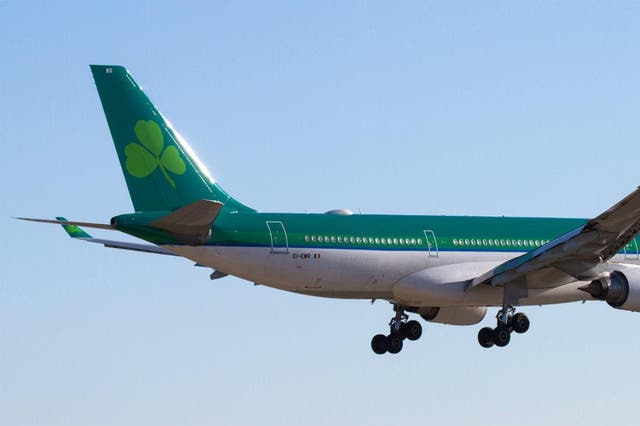 Going west: the newlyweds hoped to fly via Dublin to California on the Irish airline