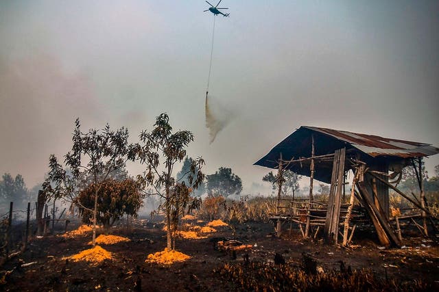 A water-bombing helicopter douses the burning peatland in Kampar of Riau province on 18 September 2019.