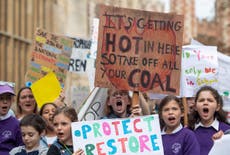 The best Global Climate Strike signs from protests around the world