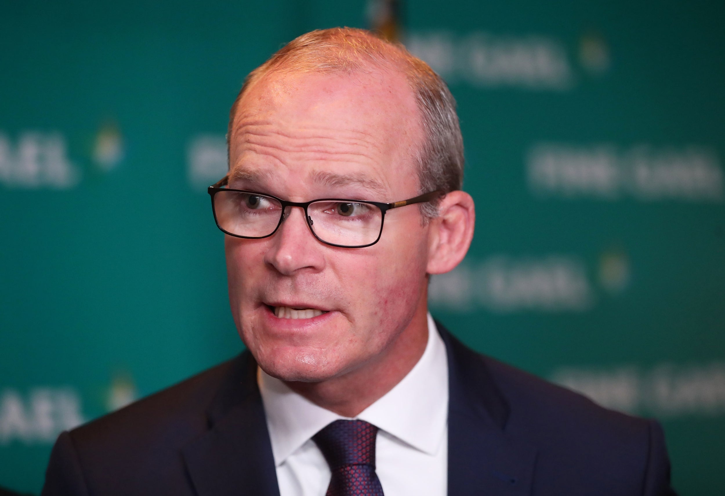 Simon Coveney said Ireland could not agree to the plans