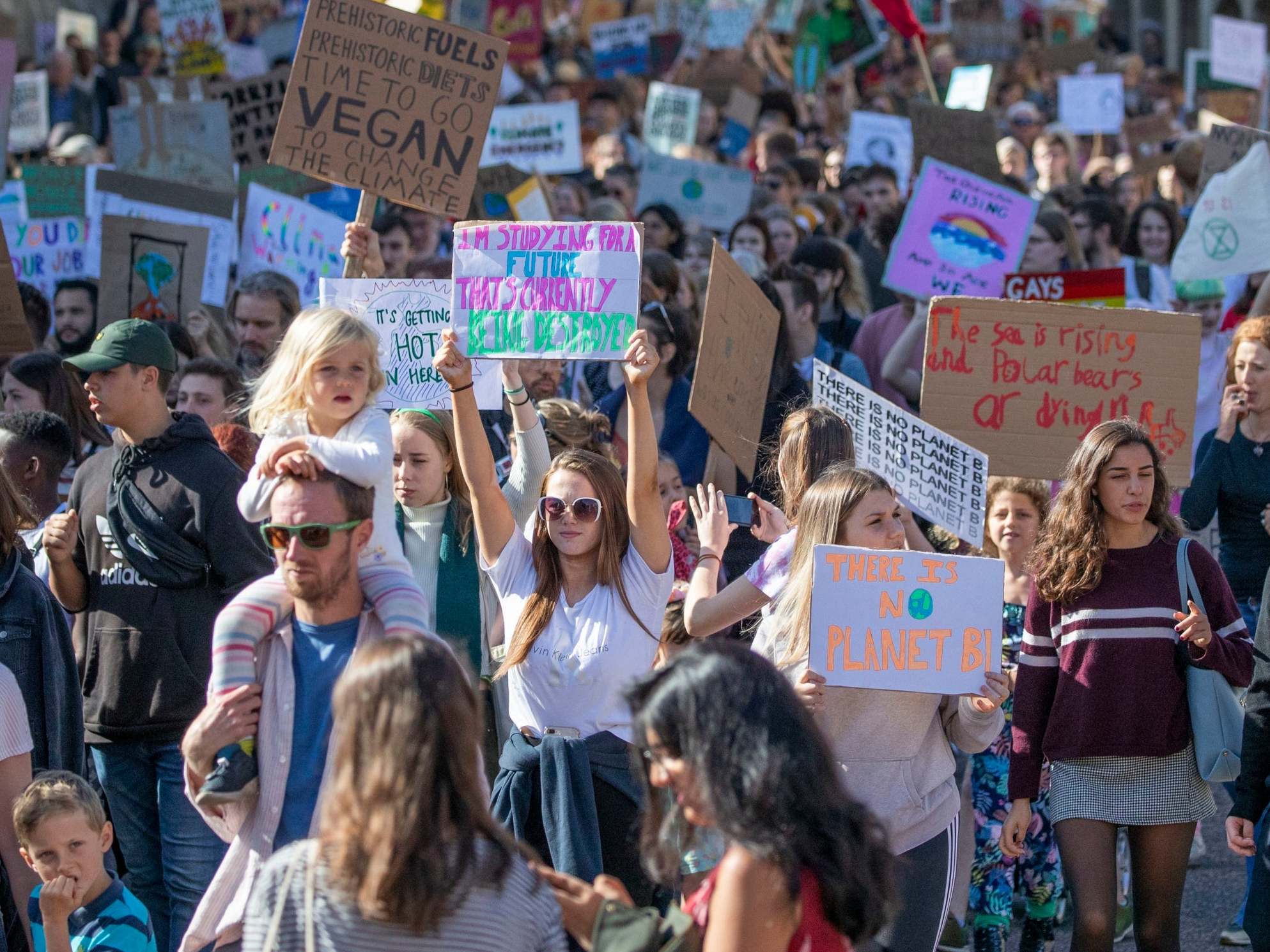 Hundreds of thousands of students across the world took part in the climate strikes last year