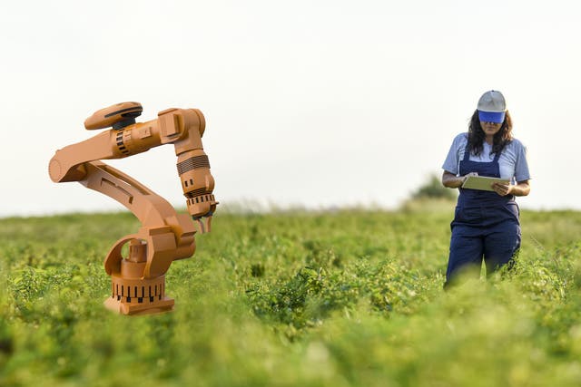 Robots have taken over many agricultural jobs that used to be done by humans