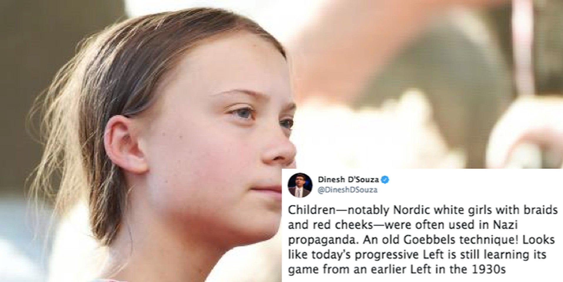 Right-winger gets destroyed for comparing Greta Thunberg to the Nazis ...