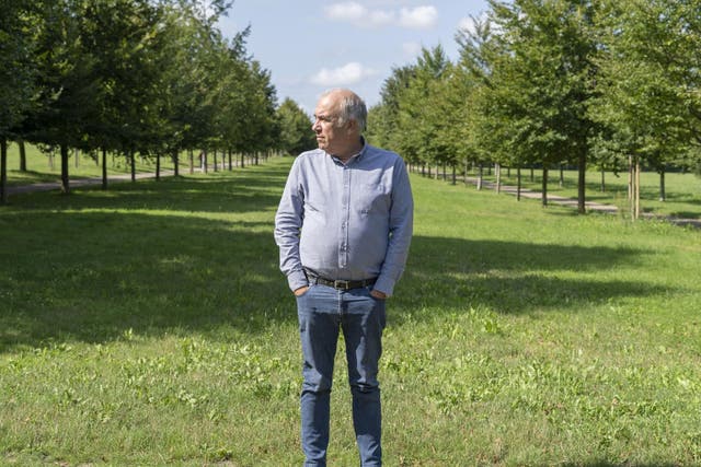 Head gardener Alain Baraton, between rows of trees at Versailles