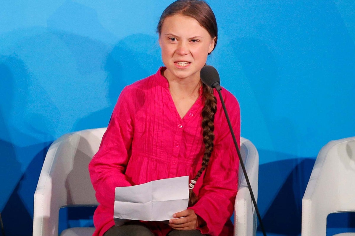 Greta Thunberg hits back at Trump jibe with new Twitter bio