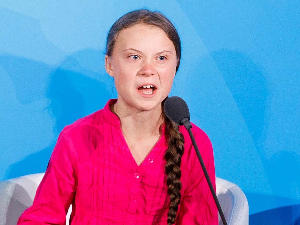 Greta Thunberg: Fashion billionaire claims activist is ‘demoralising for young people’