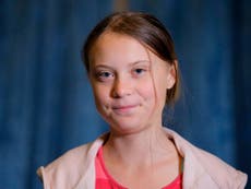 Greta Thunberg’s passion is being exploited by childish adults