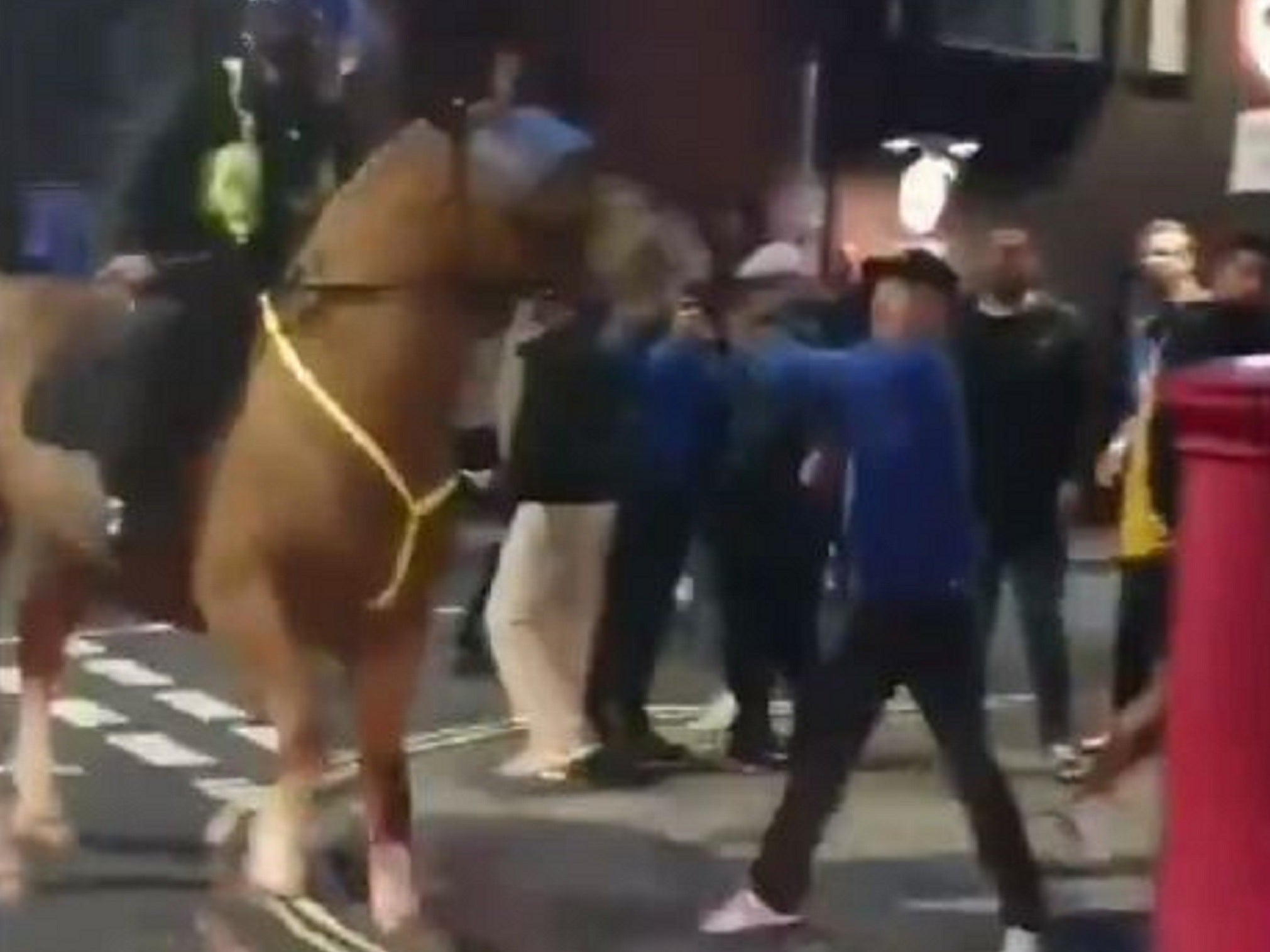 Police horse &apos;punched&apos; in face after Portsmouth vs Southampton game