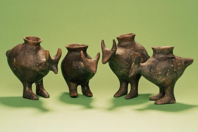 These little vessels could help explain why there was a 'baby boom' during the Neolithic period. Pictured are late Bronze Age feeding vessels from Austria