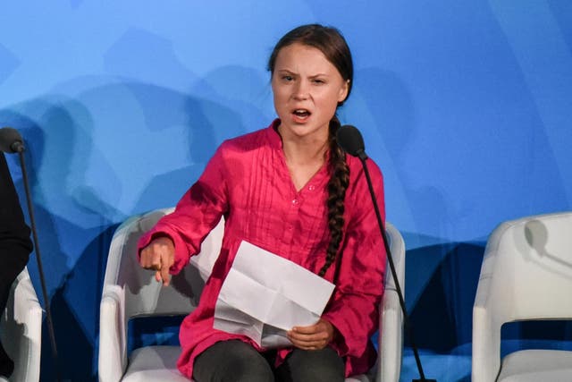 Climate activist Greta Thunberg has hit back at critics, urging her supporters not to pay them any more attention