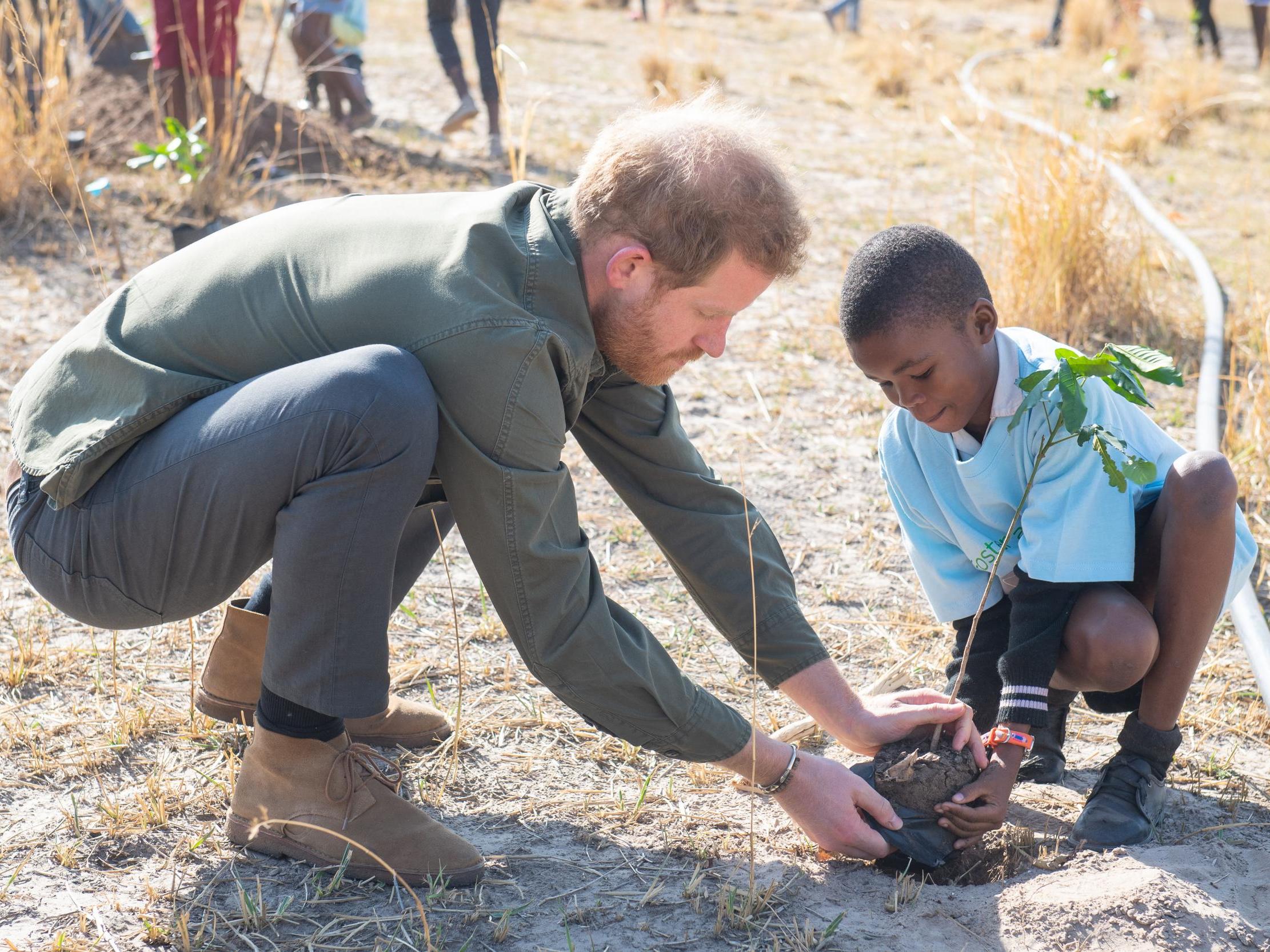 Prince Harry backs Greta Thunberg stating climate change is &apos;a race against time which we are losing&apos;