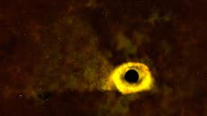Nasa scientists get unprecedented view as black hole rips apart a star
