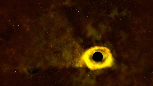 A tidal disruption, which occurs when a passing star gets too close to a black hole and is torn apart into a stream of gas