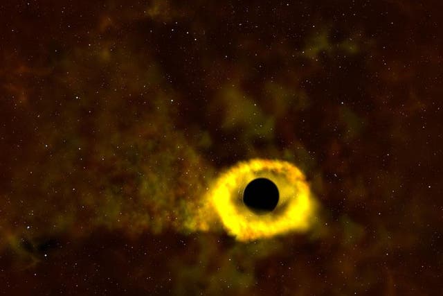 A tidal disruption, which occurs when a passing star gets too close to a black hole and is torn apart into a stream of gas