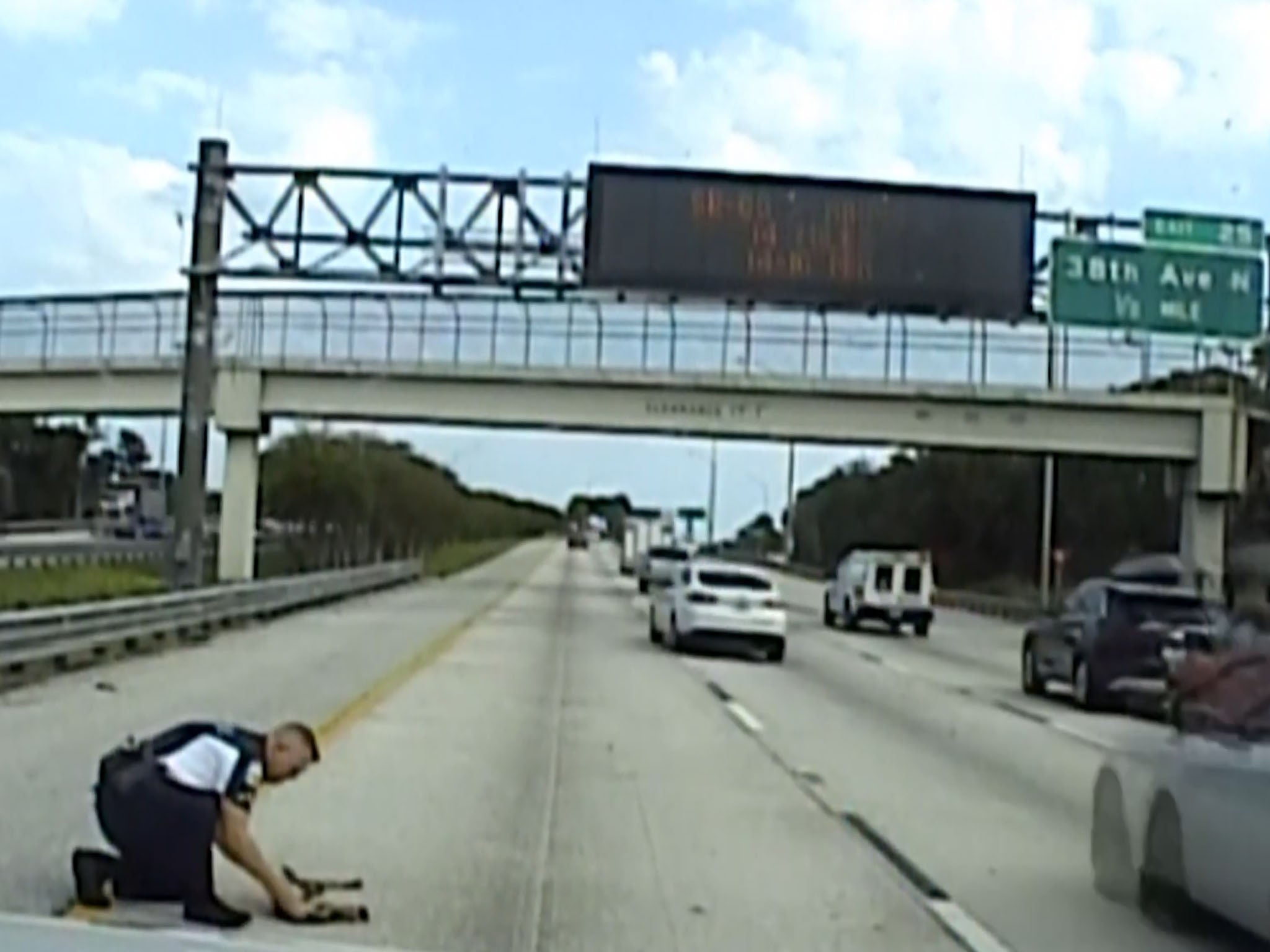 Police officer rescues dog hit by car from a busy motorway