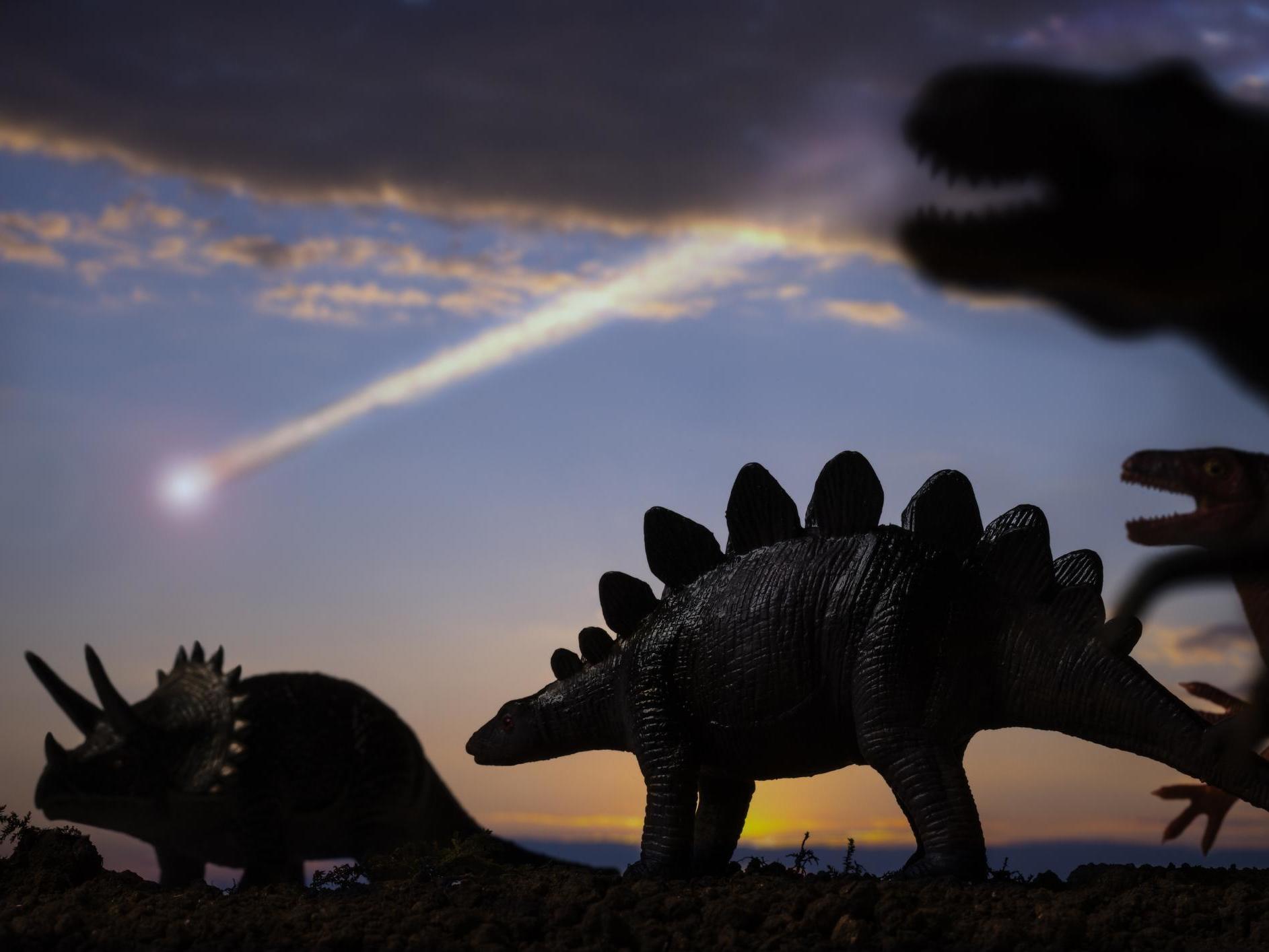 About three-quarters of plant and animal species were made extinct after an asteroid strike on Earth