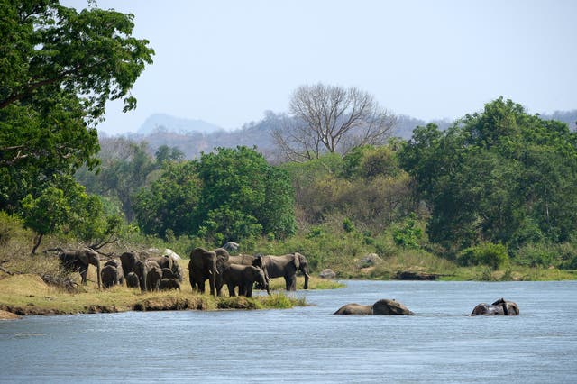 Majete Wildlife Reserve