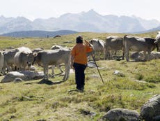 The women farmers saving the Catalan Pyrenees from climate change