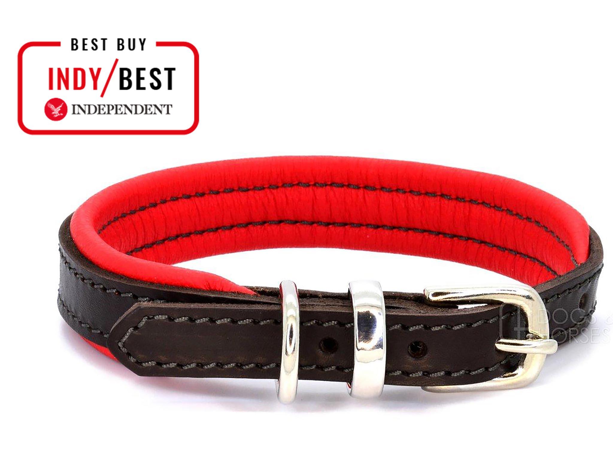 Padded  Dog Collar Ancol Nylon  with  metal eyelets pet puppy Handy Straps