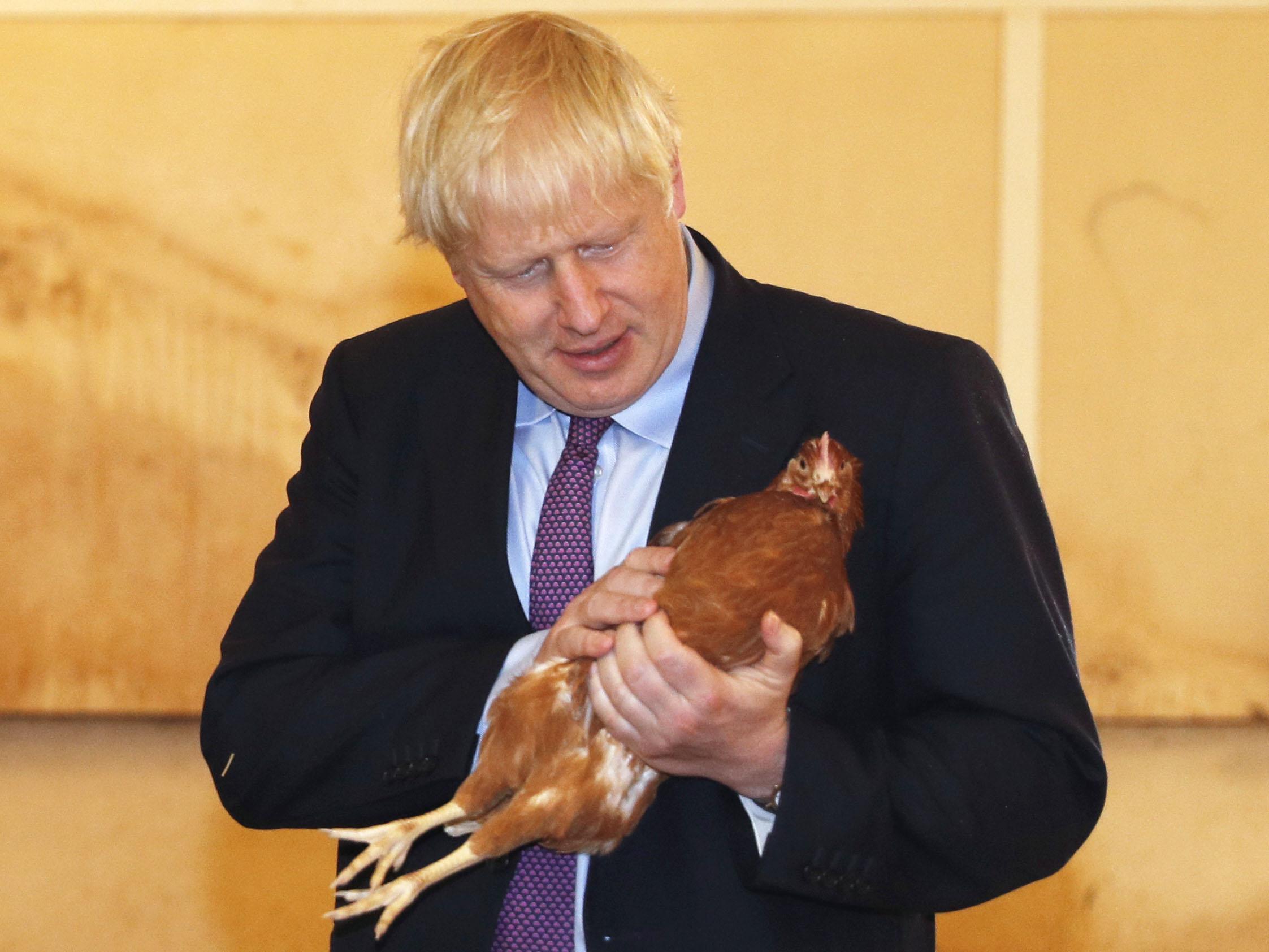 So the government is finally revealing its Brexit plans &ndash; and they are even sillier than we thought they'd be