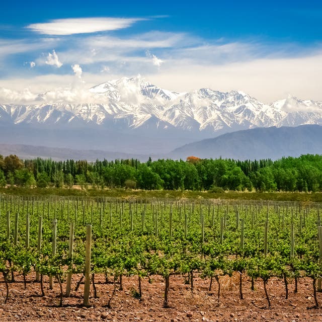 The area is known for its organic vineyards