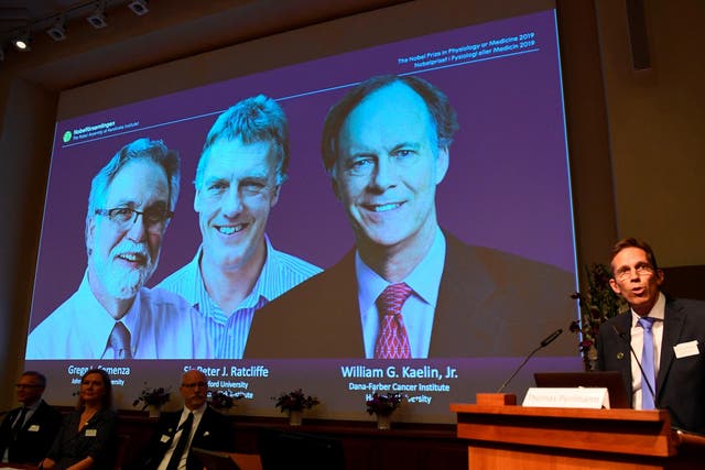 William Kaelin and Gregg Semenza of the US and Peter Ratcliffe of Britain were announced the winners of the 2019 Nobel Medicine Prize at the Karolinska Institute in Stockholm, Sweden, on 7 October