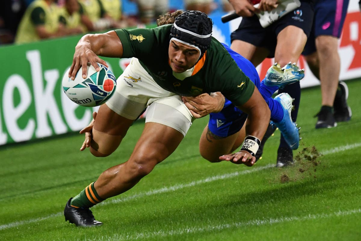 Rugby World Cup 2019: South Africa’s Cheslin Kolbe ruled out of semi-final against Wales through injury