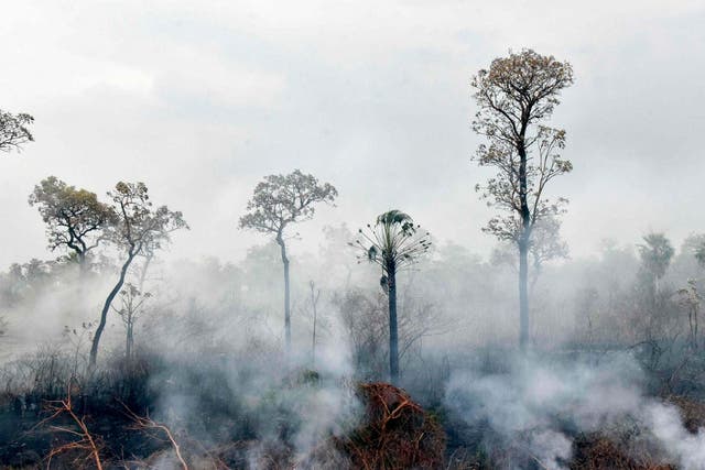 The issue of corporate accountability has become more high-profile in the wake of wildfires that have razed swathes of the Amazon this summer