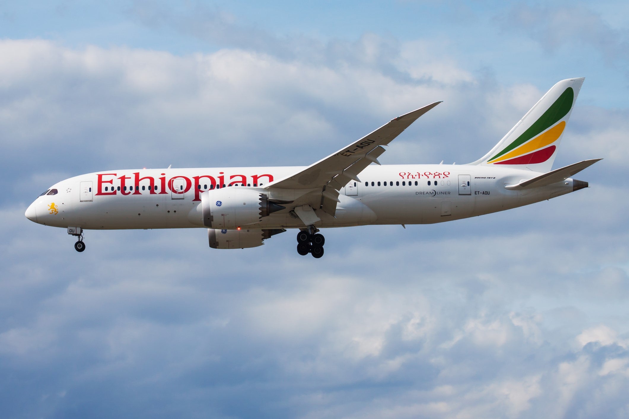 An Ethiopian Airlines plane made an emergency landing when one its engines caught fire
