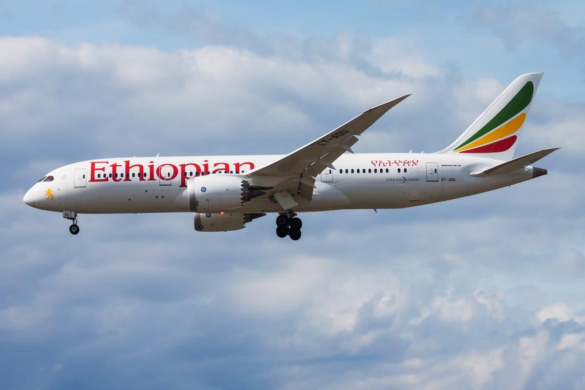 ethiopian airlines check in baggage