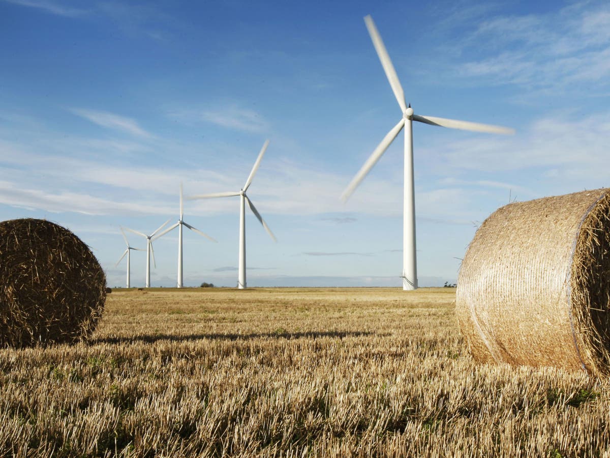 Climate crisis: Enormous 50-turbine onshore wind farm in Scotland given green light