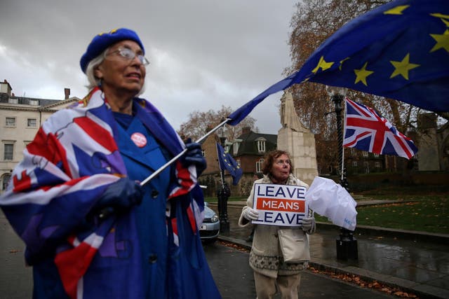 An anti-Brexit protester (