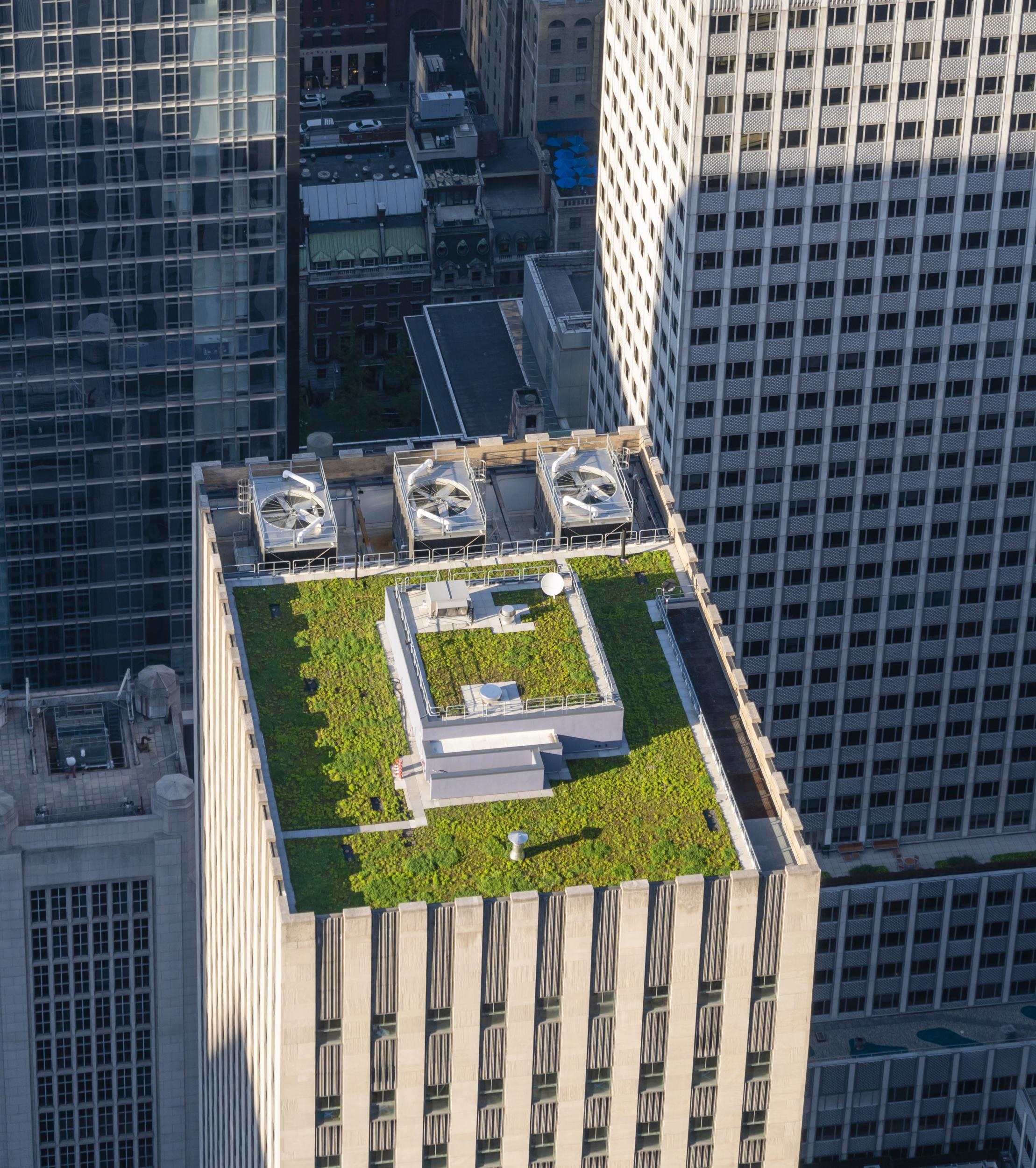 High concept: a green roof on a skyscraper in New York City