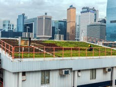 Green roofs can vastly improve city life, so why don’t we see more of them?