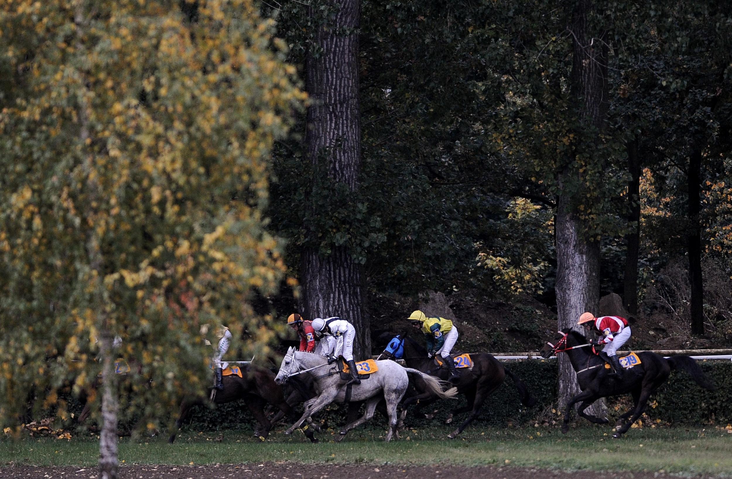 The Velka Pardubicka makes the National look like a trot round Hyde Park