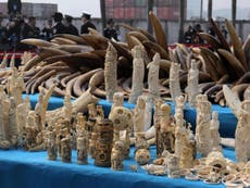 Antique dealers fight to reverse UK’s new ban on ivory trade