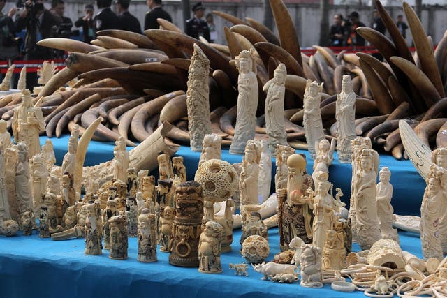Until recently the UK was the world’s largest exporter of legal ivory